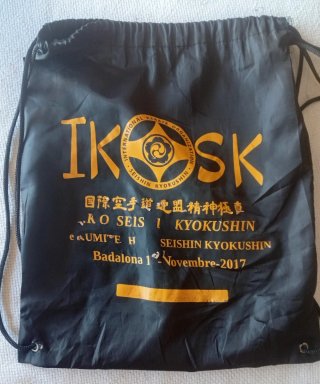 Protecciones Karate Ikara Casco y Guantes