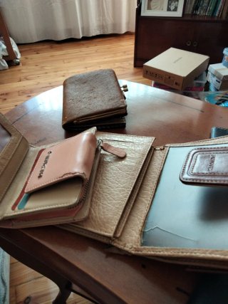 Lotes de Carteras Varias