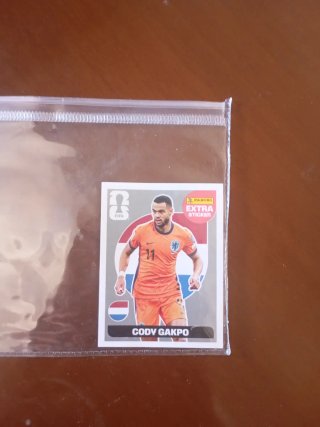 Cromos Cody Gakpo Extra sticker Gris