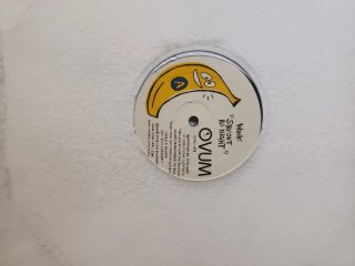 Lote 9 Vinilos House: Radio Slave, Wink, Mogli & S