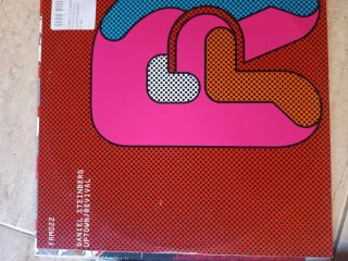 Lote 9 Vinilos House: Radio Slave, Wink, Mogli & S