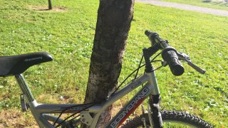 Bicicleta junior Boomerang y otra en color malva