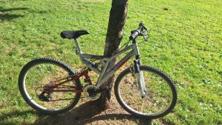 Bicicleta junior Boomerang y otra en color malva