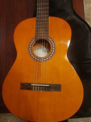 Guitarra Española Júnior con funda