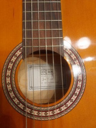 Guitarra Española Júnior con funda