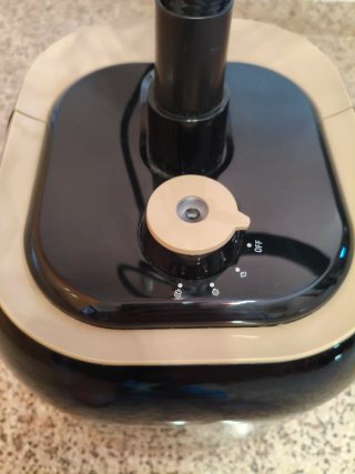 Plancha de Vapor Vertical Rowenta