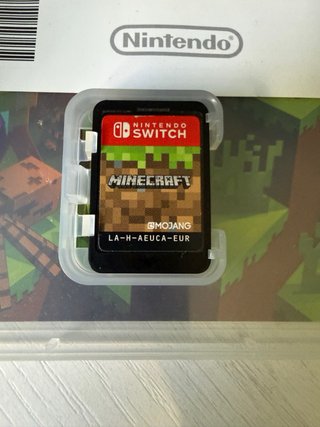 Minecraft Nintendo Switch
