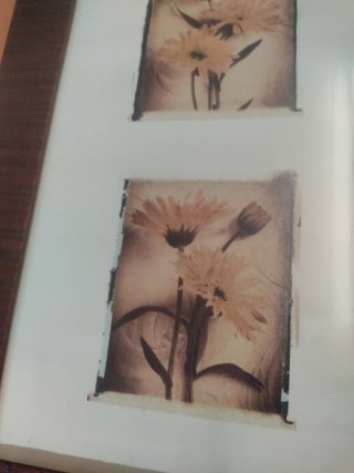 Cuadro Decorativo Flores Beige y Marrón