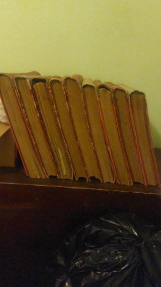 Colección Toros Revista Ruedo