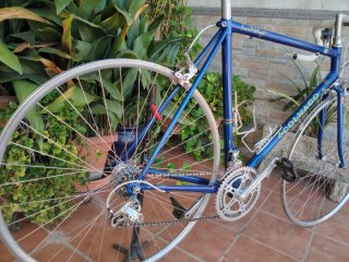 Replica de colnago