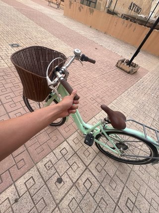 Bicicleta Mint con cesta y portabultos