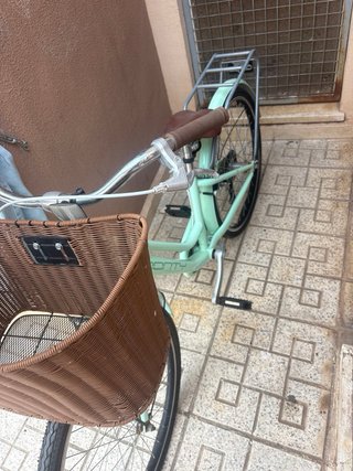 Bicicleta Mint con cesta y portabultos