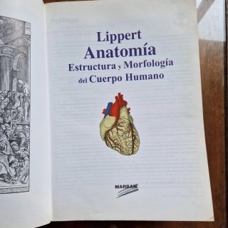 Lote libros de Anatomía Marban: Sobotta + Lippert