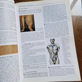 Lote libros de Anatomía Marban: Sobotta + Lippert