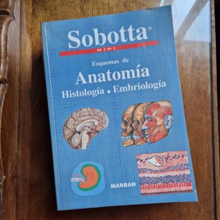 Lote libros de Anatomía Marban: Sobotta + Lippert