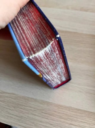 Libro Gerónimo Stilton noveno viaje