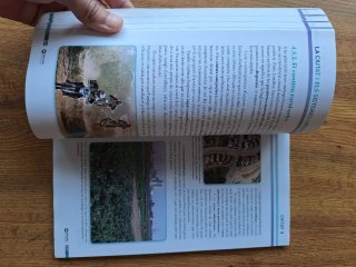 Geografia, Batxillerat