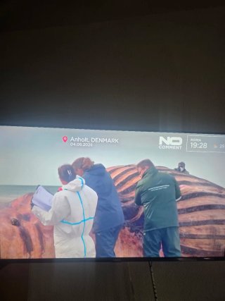 Xiaomi 43 Ultra HD 4K TV