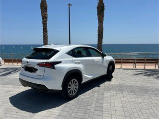 Lexus NX 300 H Garantia oficial