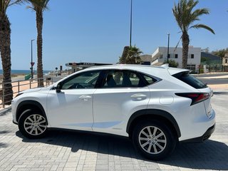 Lexus NX 300 H Garantia oficial