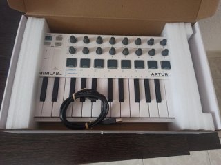 Arturia Minilab MKII + Pedale M-Audio