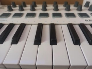 Arturia Minilab MKII + Pedale M-Audio