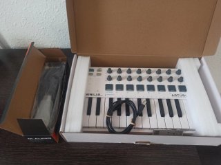 Arturia Minilab MKII + Pedale M-Audio