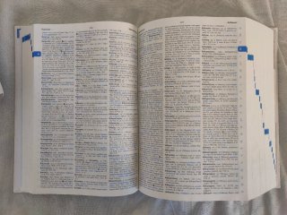 GI. Vocabolario della lingua greca. Con la guid...
