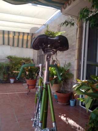 Bicicleta Zeus Verde