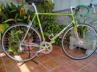 Bicicleta Zeus Verde