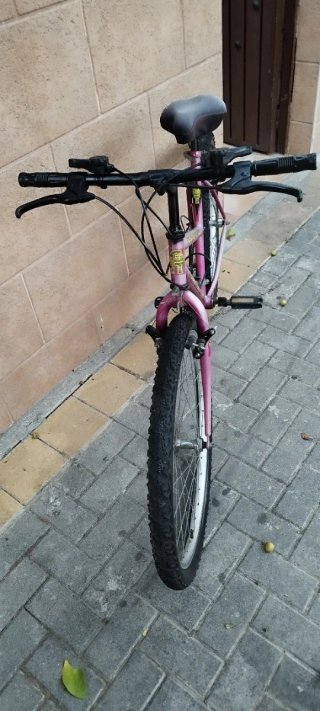 Bicicleta de Montaña Rosa