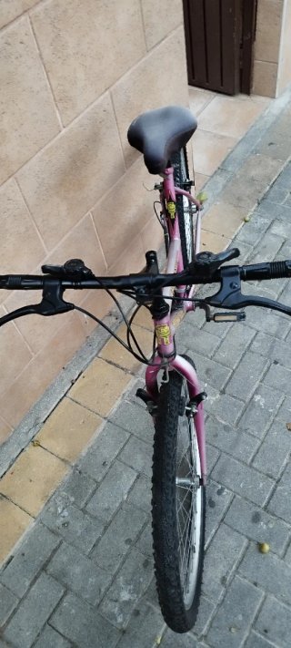 Bicicleta de Montaña Rosa