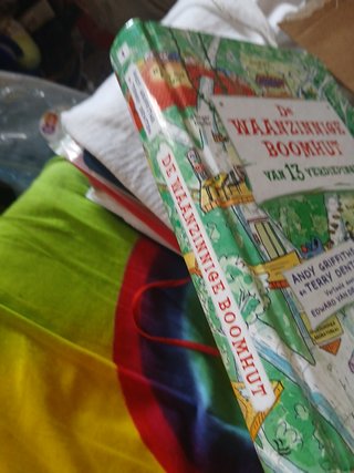 De Waanzinnige Boomhut van 13
