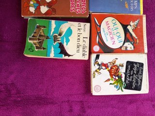 Lote libros