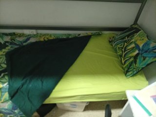 Juego Sábanas nórdica Cama 90cm Estampado Tropical