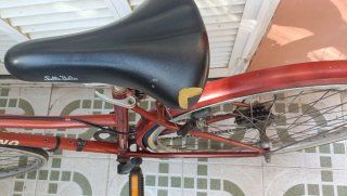 Bicicleta Clásica Legnano Civic Park
