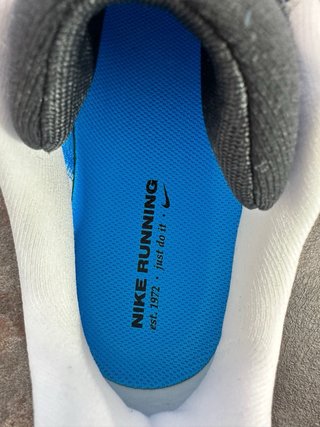 Nike Air Zoom Pegasus 41 Talla 41 nuevas.
