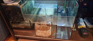 Acuario+Sump 519L con mesa