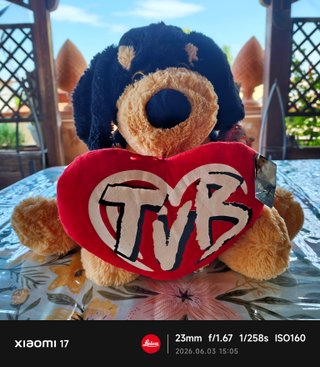 Peluche cane Cuore TVB Cucciolandia Roccuccio