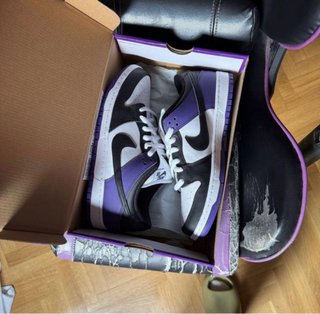 Nike Dunk Low SB Court Purple