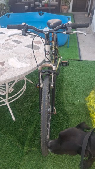 Bicicleta de montaña plateada y dorada