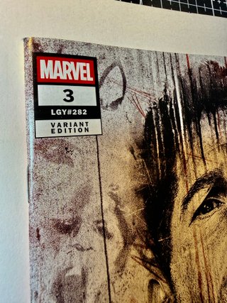 Lote 2 Comic USA The Punisher #1 #3 Marvel TV 2026