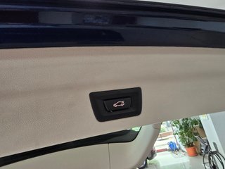 BMW X3 xDrive30e xLine
