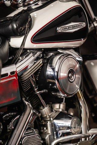 Harley Davidson Cruiser Negra y Blanca