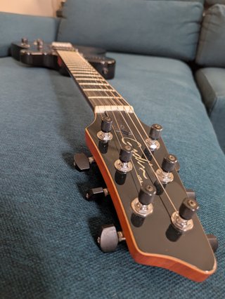 Godin XTSA Leaftop Trans Black guitarra