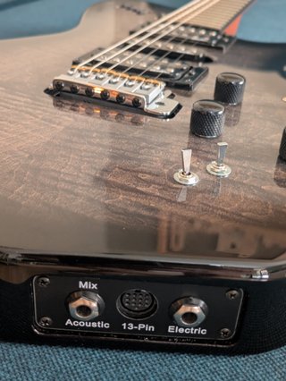 Godin XTSA Leaftop Trans Black guitarra