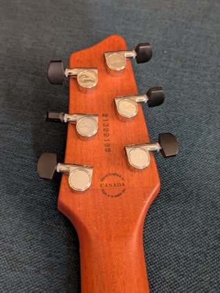 Godin XTSA Leaftop Trans Black guitarra