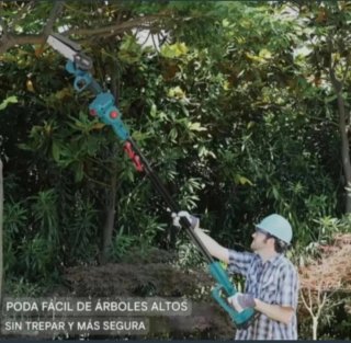 Motosierra Pértiga Telescópica (2 Baterías)