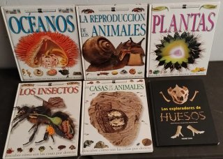 Lote 6 Libros Infantiles Naturaleza