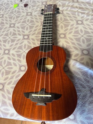 Ukelele Aklot con accesorios